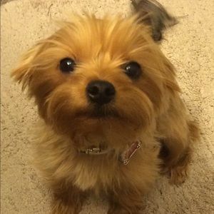 Meet your Posher, Alicia